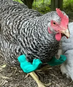 گجت فانتزی مرغ خروس