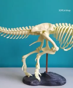 فایل آماده پرینت دایناسور