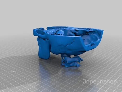 فایل اسکن3بعدی فک انسان