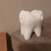 مدل3بعدی دندان