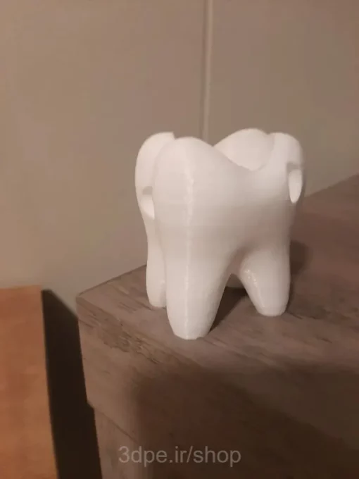 مدل3بعدی دندان