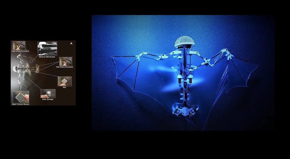 بت بات (BatBot)، دِرُن رباتی که مانند یک خفاش پرواز می‌کند