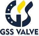 gss-valve